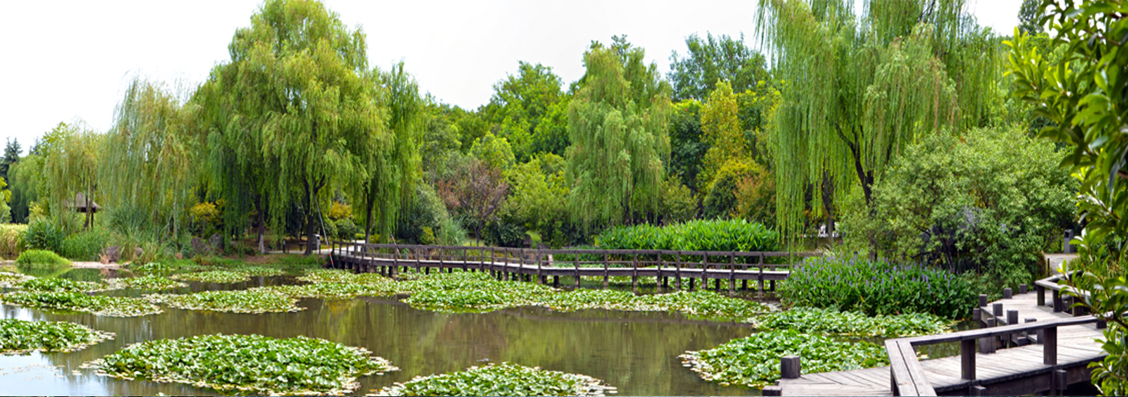 url(http://m.qwrvn.cn/theme/TP000163/pic/banner4.jpg)